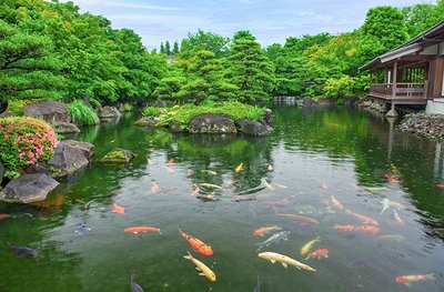 🌳 코코엔 정원(코코엔)